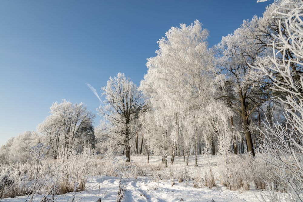 Photograph by Юрий Бичеров