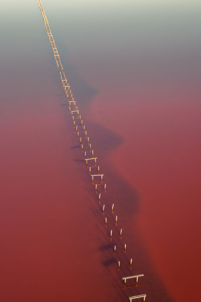 Photograph by Elena Gureva