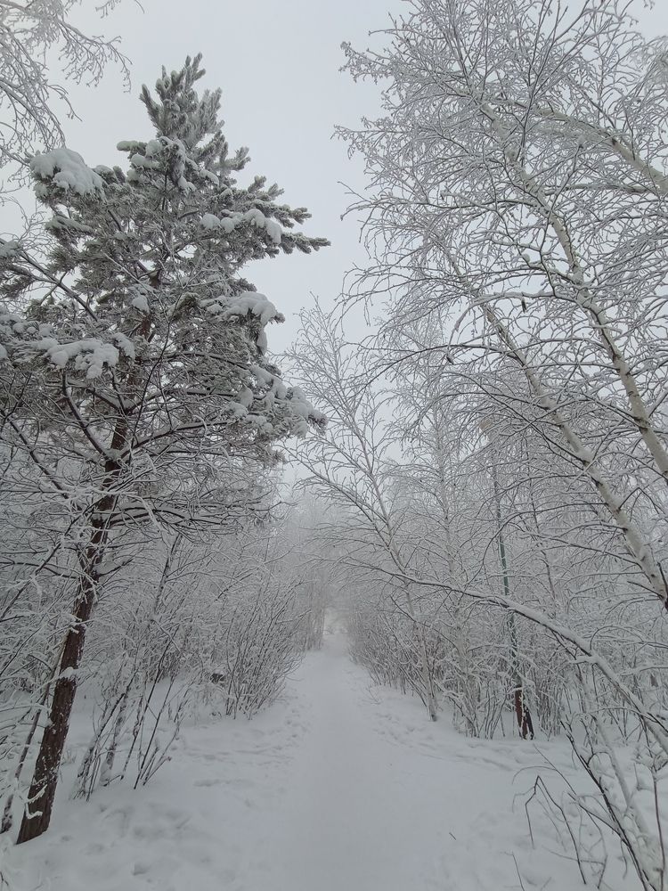 Photograph by Надежда Иванова