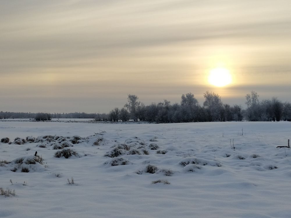 Photograph by Надежда Иванова