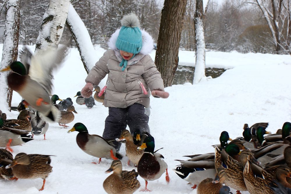 Photograph by ALBERT