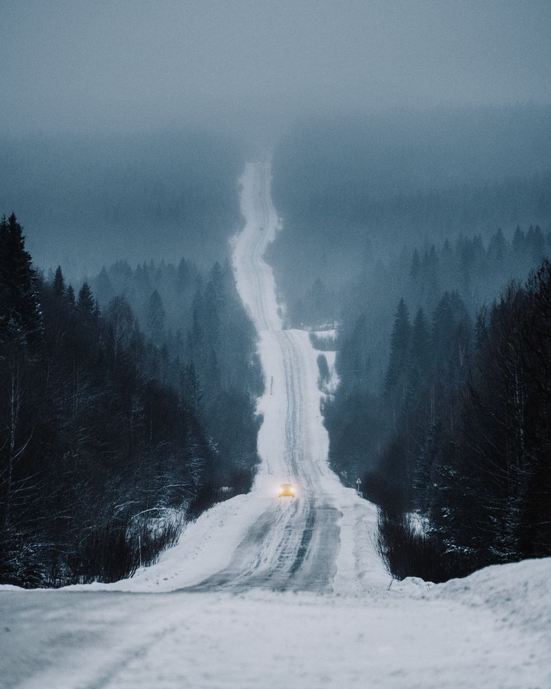 Photograph by Anna Maximova