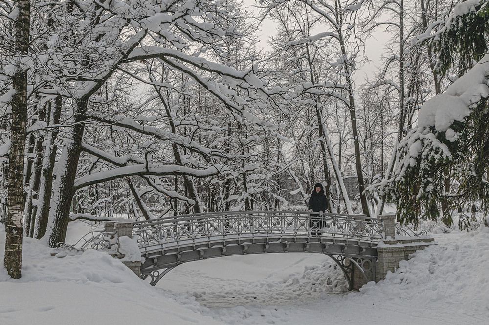 Photograph by Vladimir  Komarov