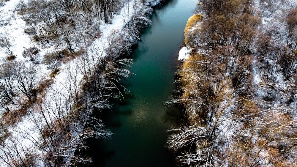 Фотография автора Андрей Гречаный