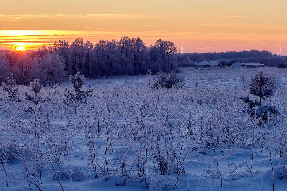 Photograph by Николай Голованов