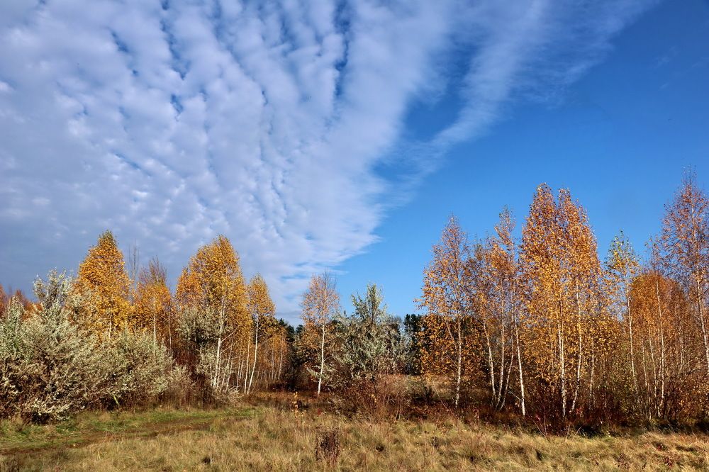 Photograph by Владимир Подкуйко