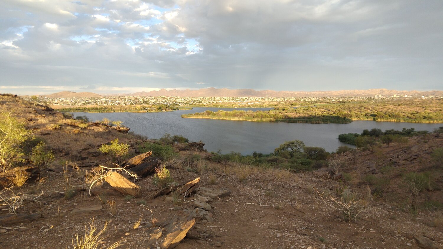 Photo #6915622