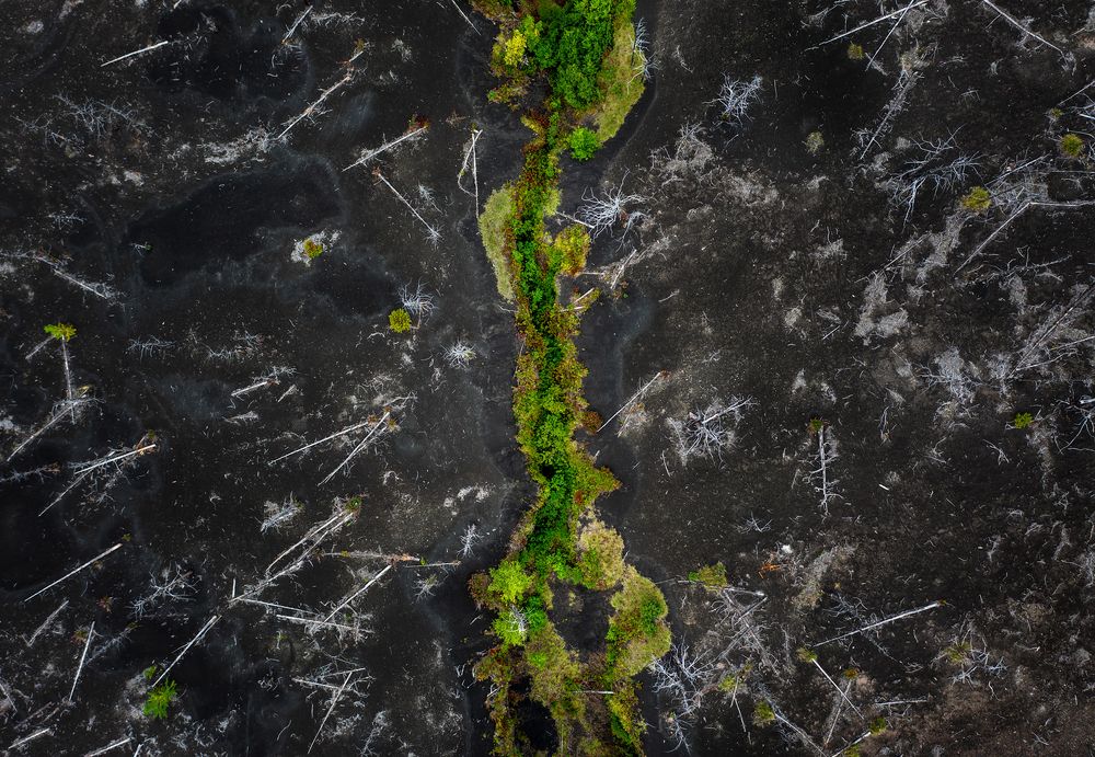 Photograph by Elena Gureva