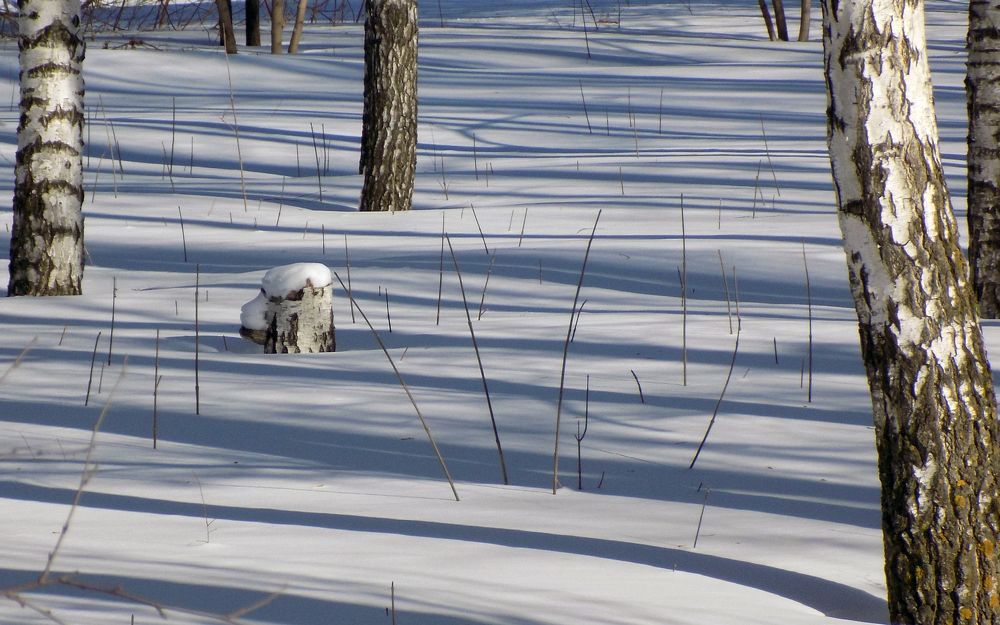 Photograph by Сергей Рудаков