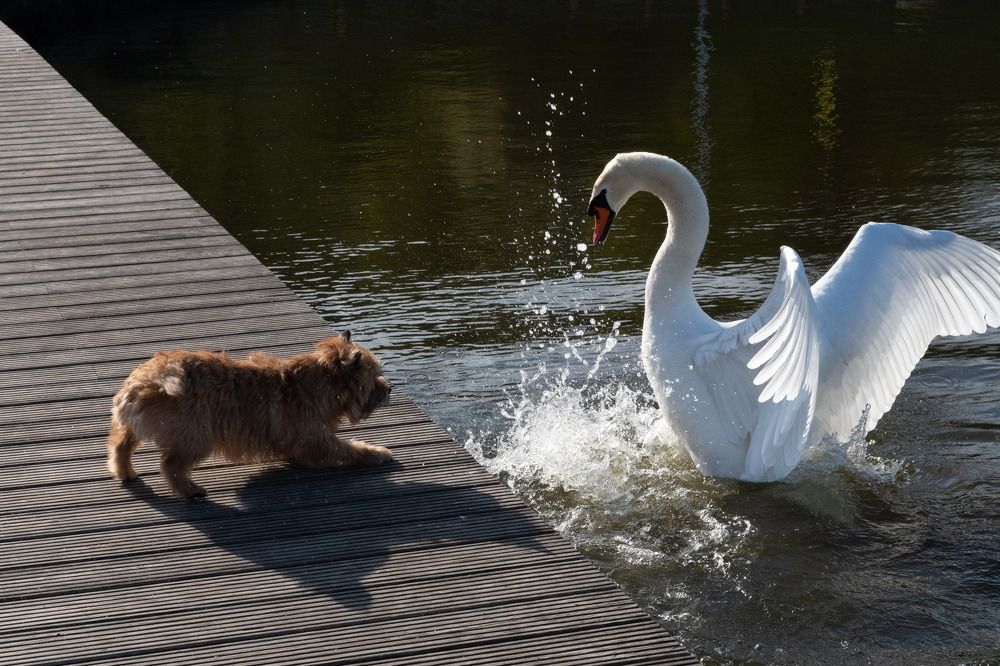 Photograph by Татьяна