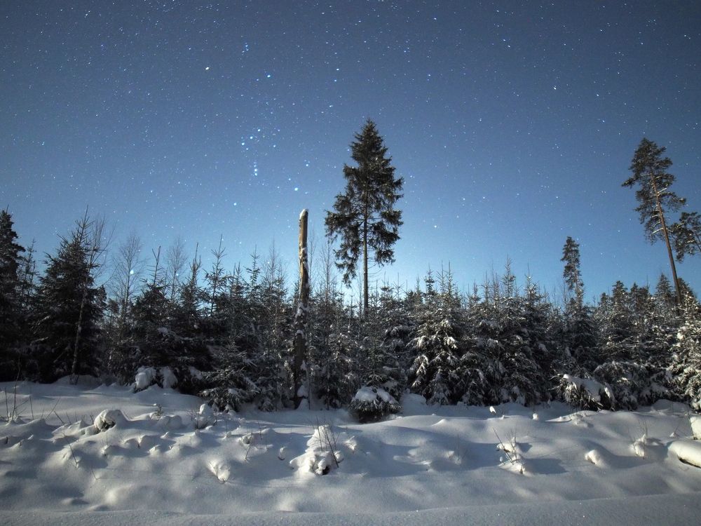 Orion stars / Latvia 12.2021