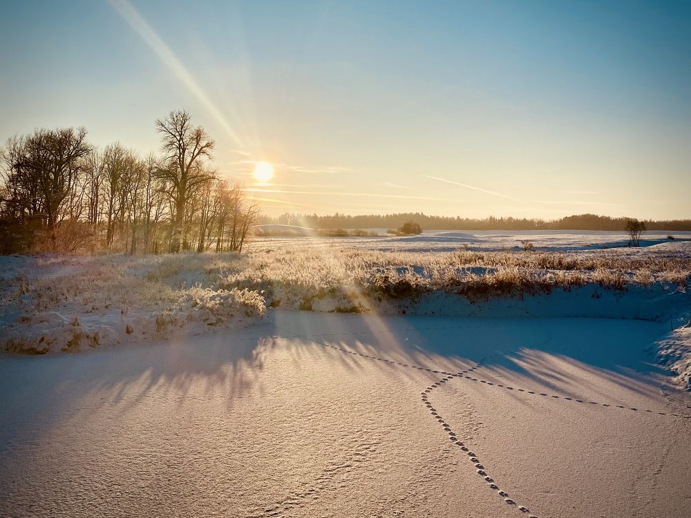 Photograph by Laura Simanaviciute