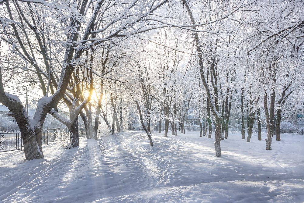 Photograph by Вениамин Кожинов