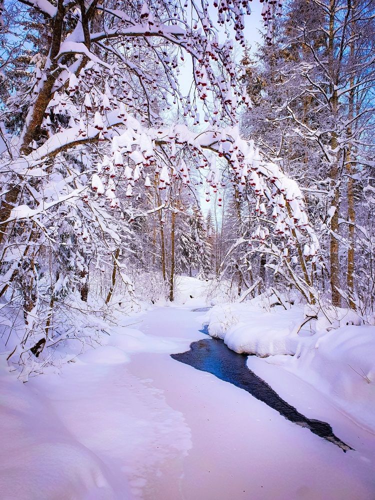 Зимняя речка.