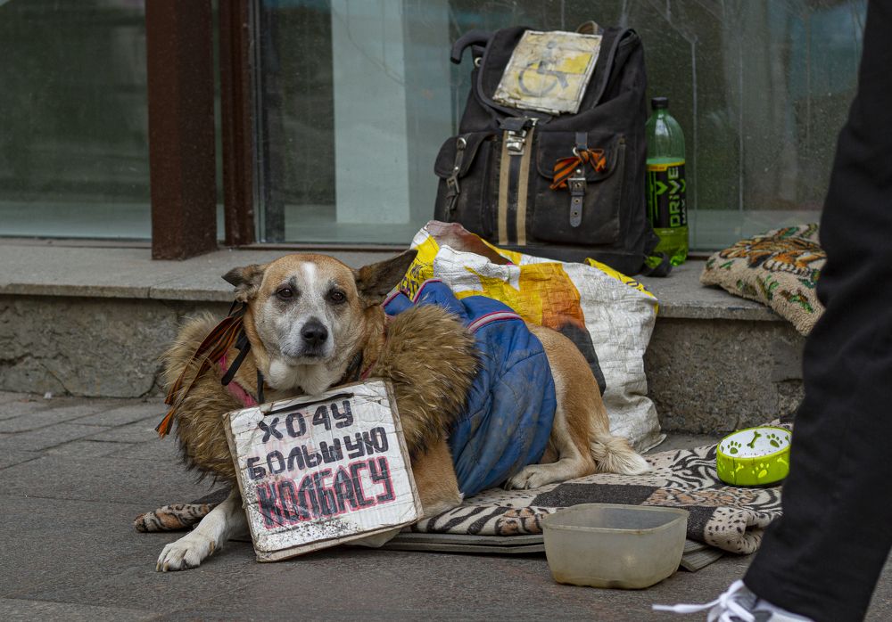 Photograph by Viktor Lazarev