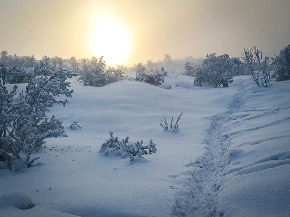 Очарование севера