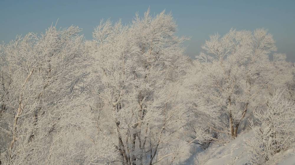 Photograph by Иван Кирилков