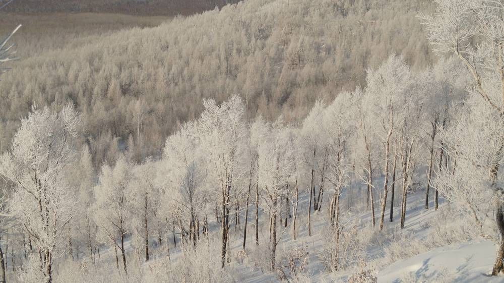 Photograph by Иван Кирилков