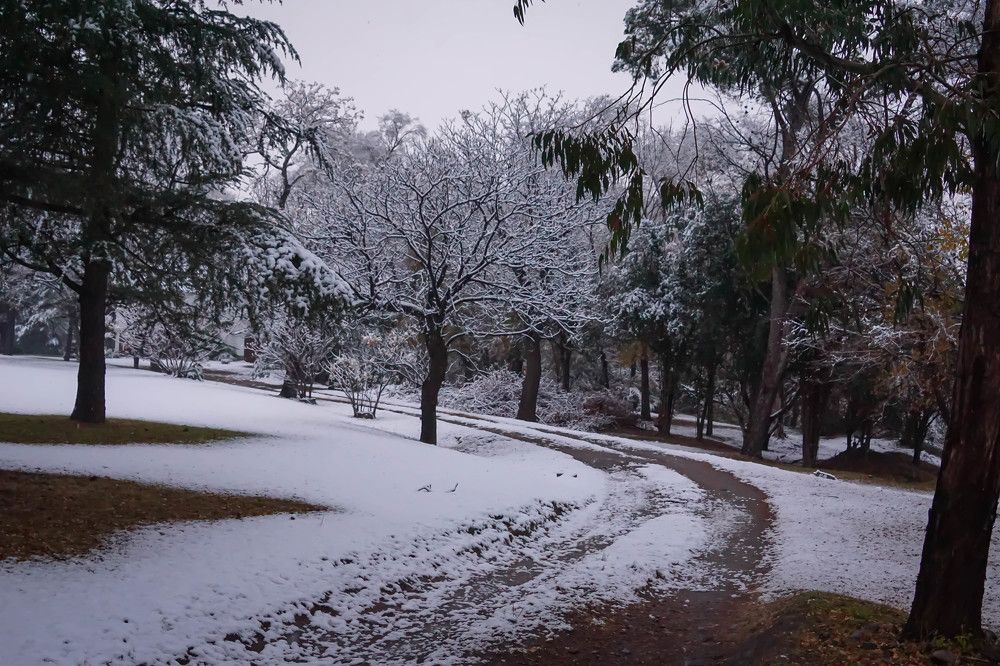 Photograph by Karina Elena Bergagna