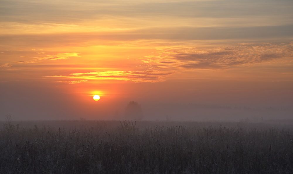 Photograph by Юрий Кузьмин