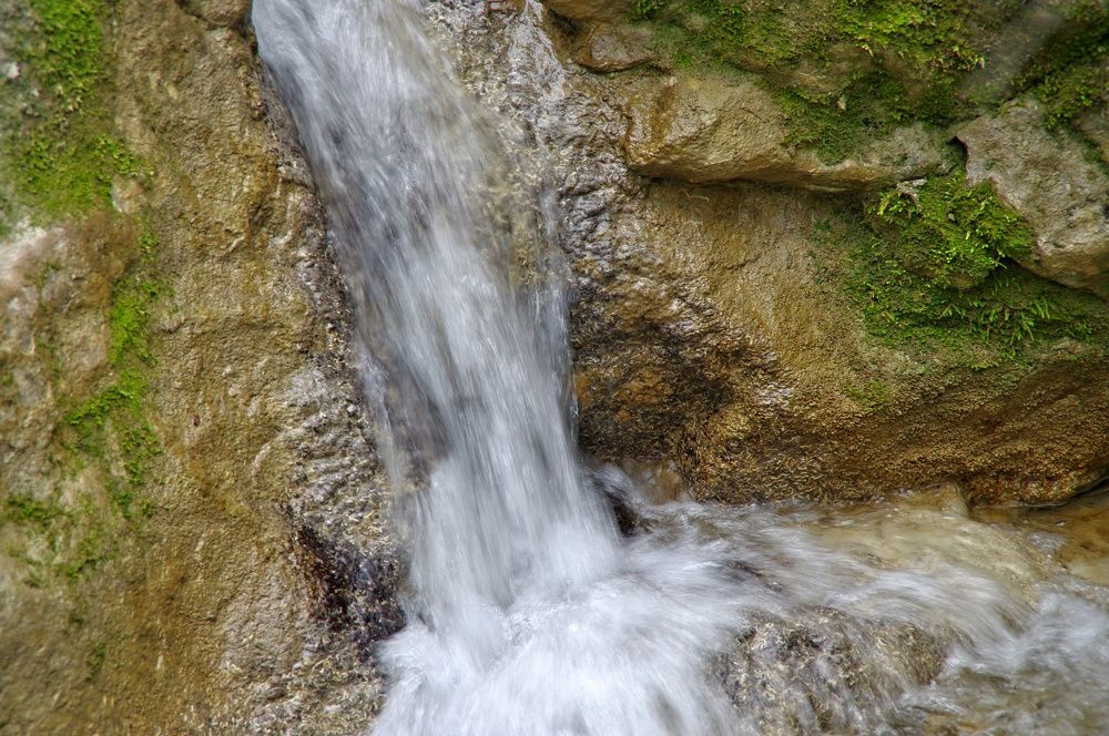 Photograph by Davor Cevizovic