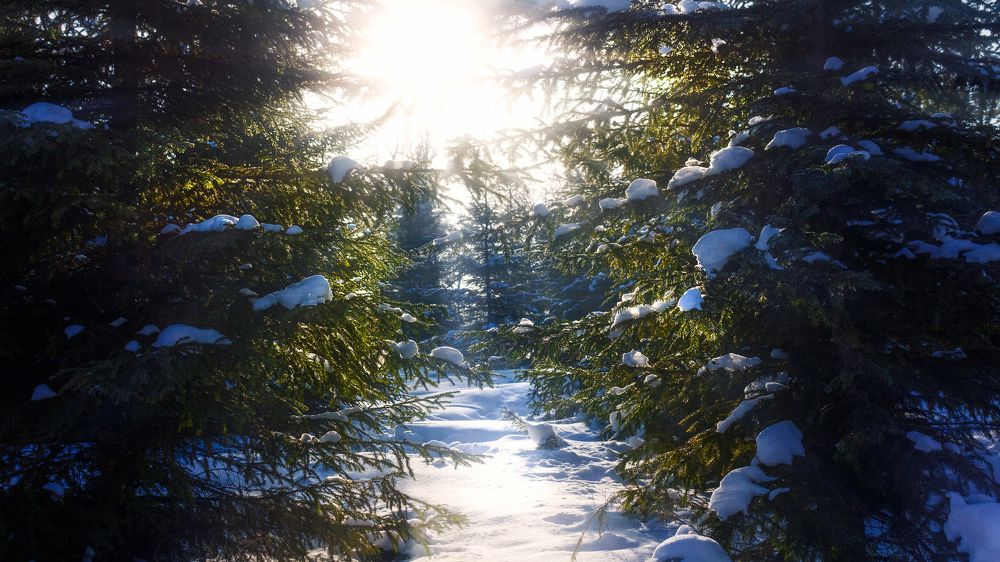 Photograph by Алексеев Саша