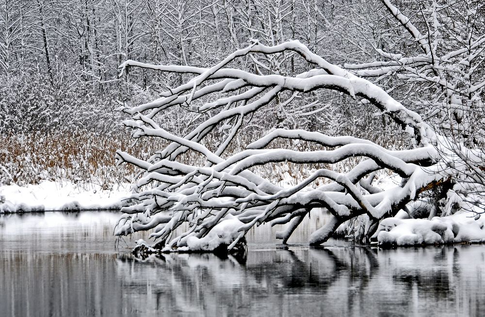 Фотография автора Антип