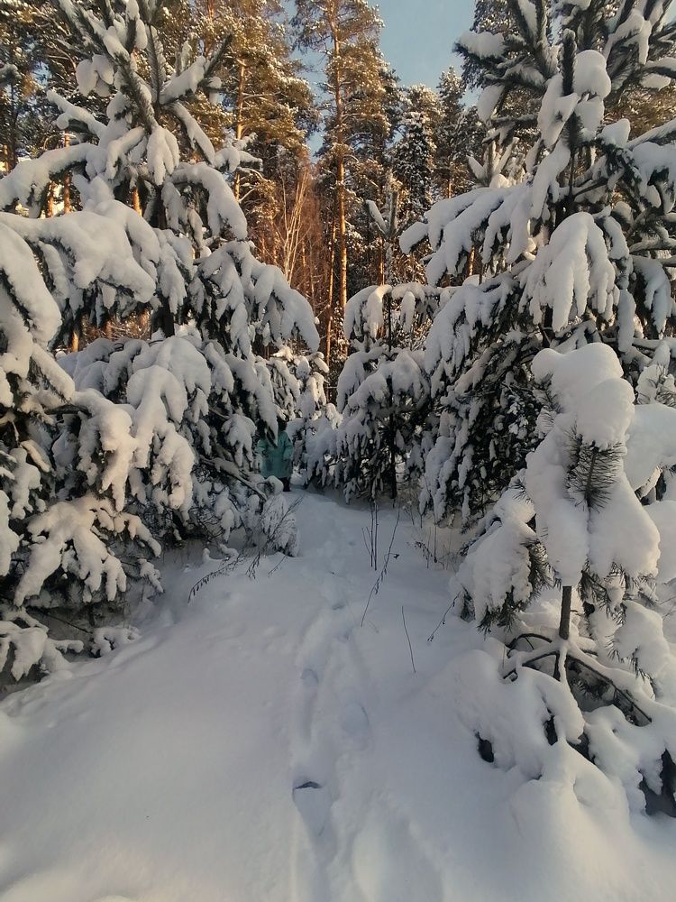 Фотография автора Евгения Снигирева