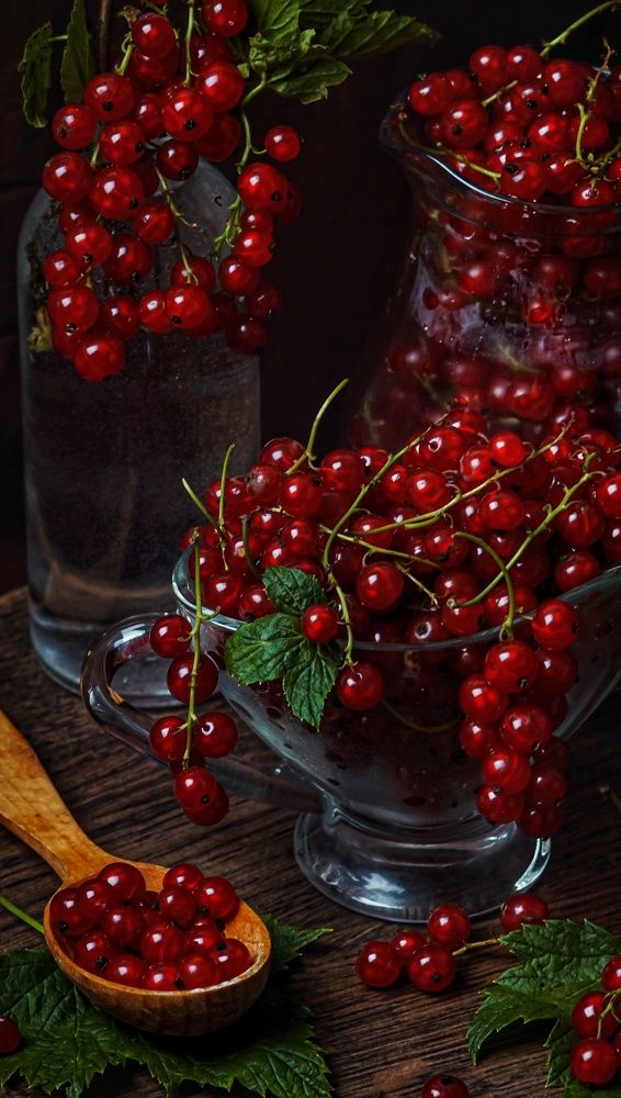 Photograph by Елена Пасажицкая