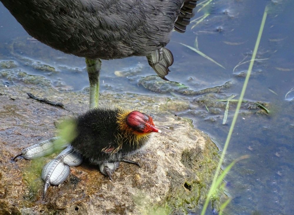 Photograph by Alla Roslova