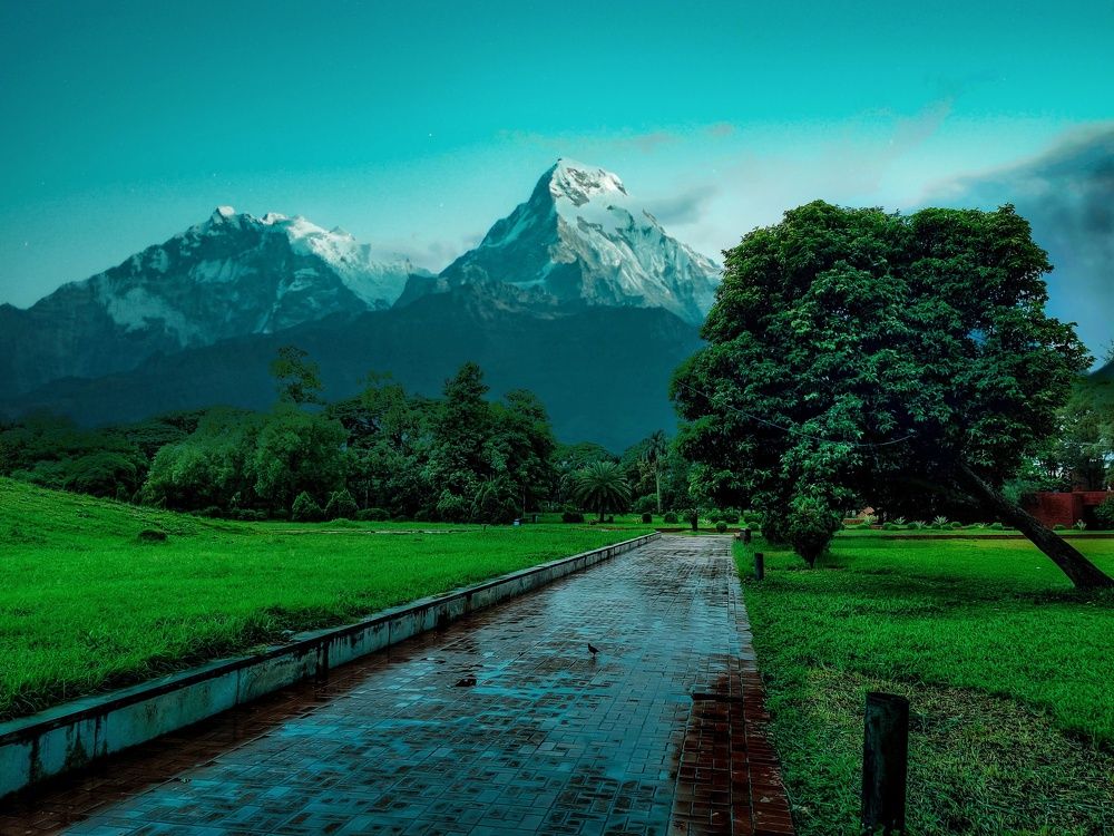Photograph by Goutom Dey
