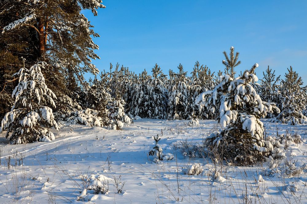 Фотография автора Юрий Фефилов