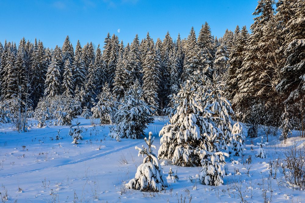 Фотография автора Юрий Фефилов