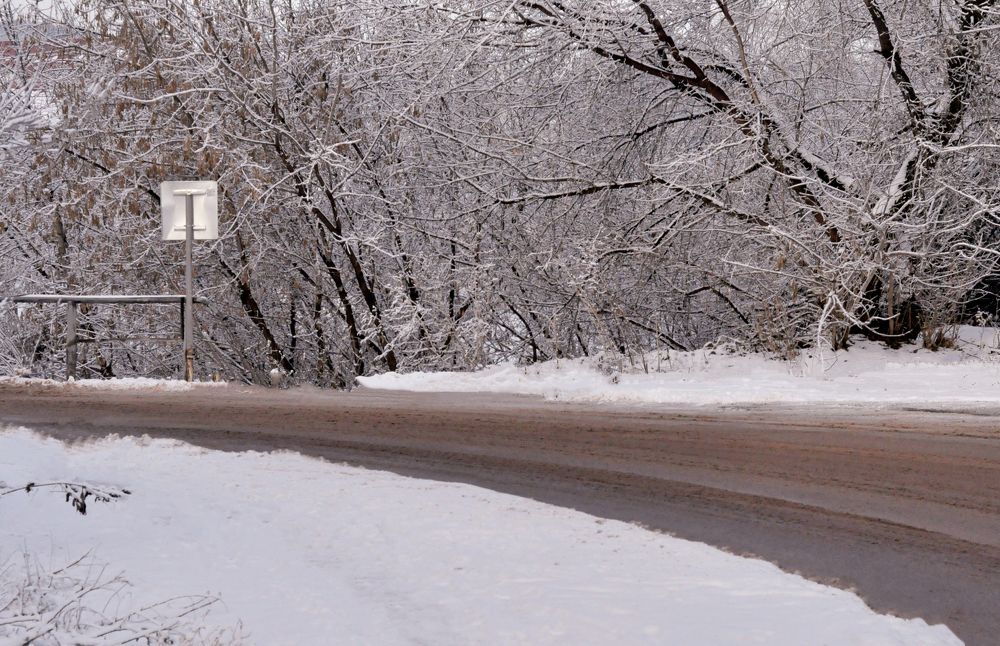 Photograph by Egor Kashirin