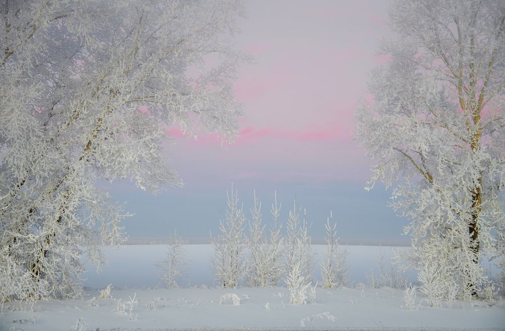 Утрення пастель...