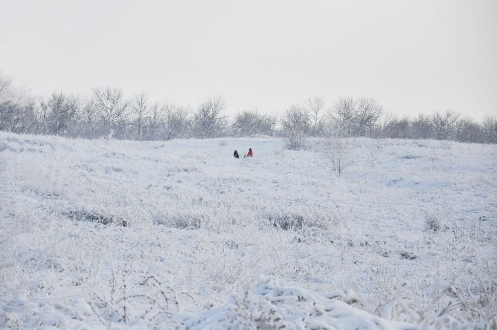 Photograph by Egor Kashirin