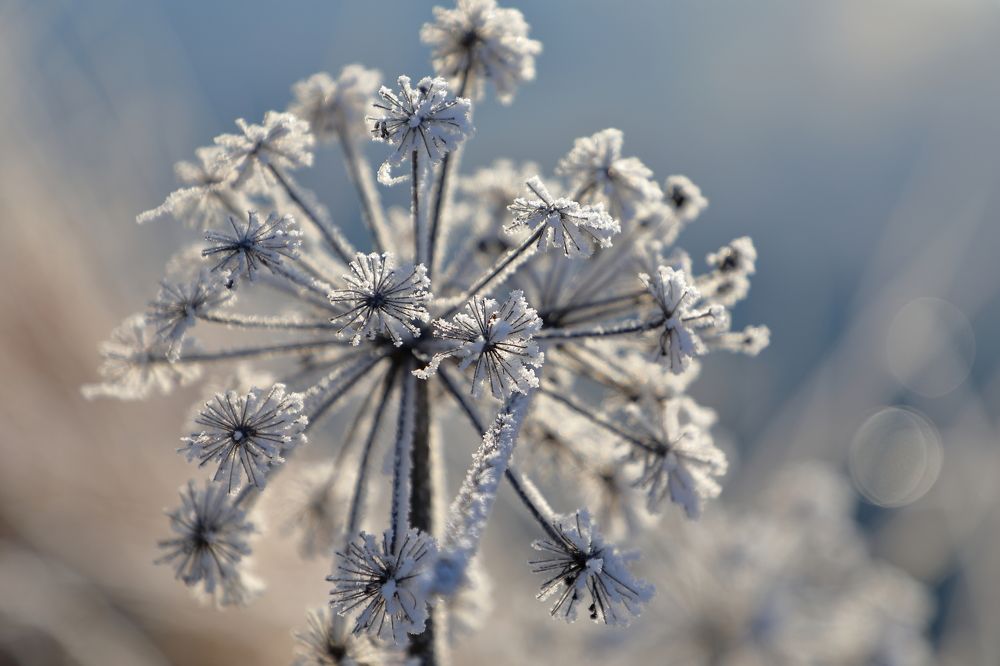 Photograph by Юрий Фефилов