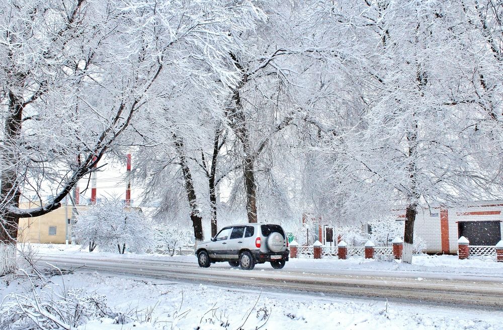 Photograph by Анна Восковых