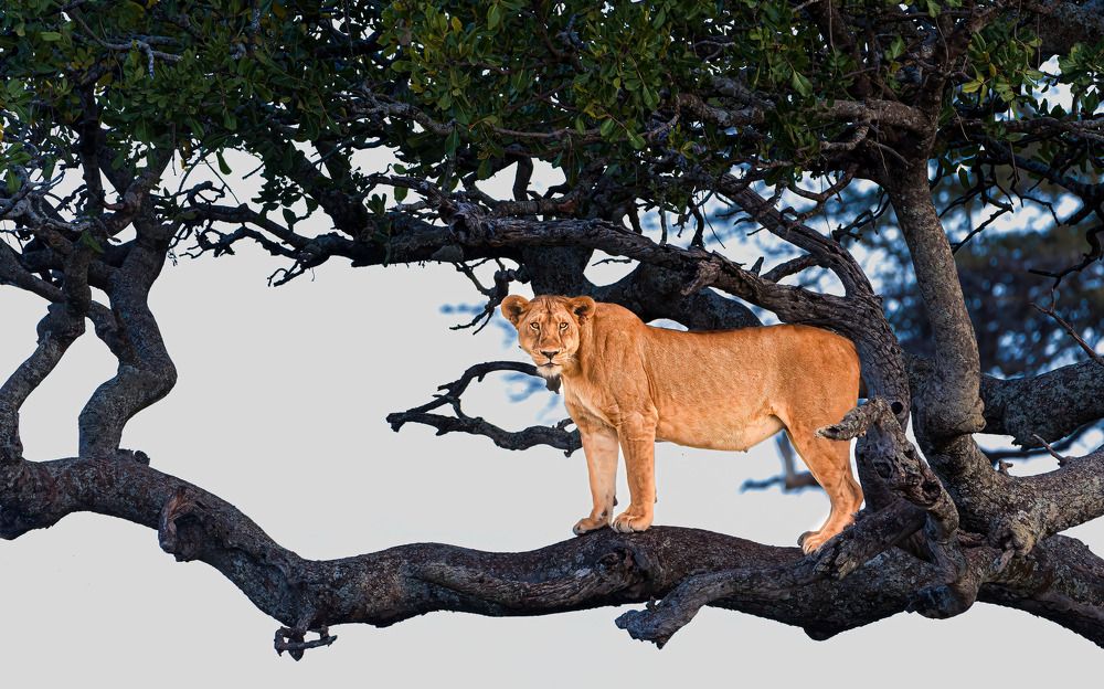 Photograph by Sasidhar Ravinuthala