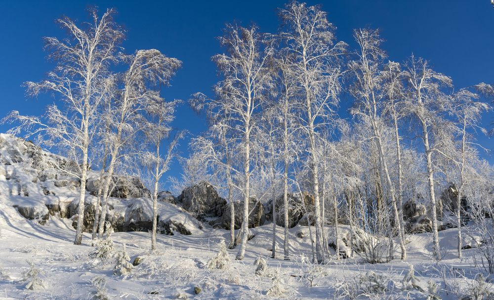 Photograph by Олег Бережных