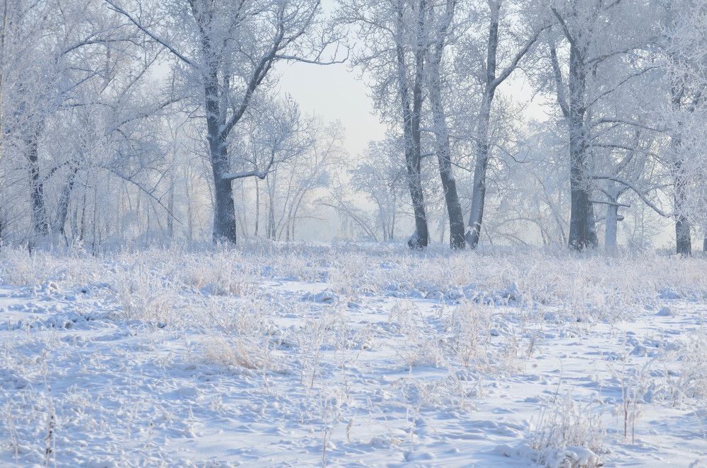 Мир зимнего волшебства