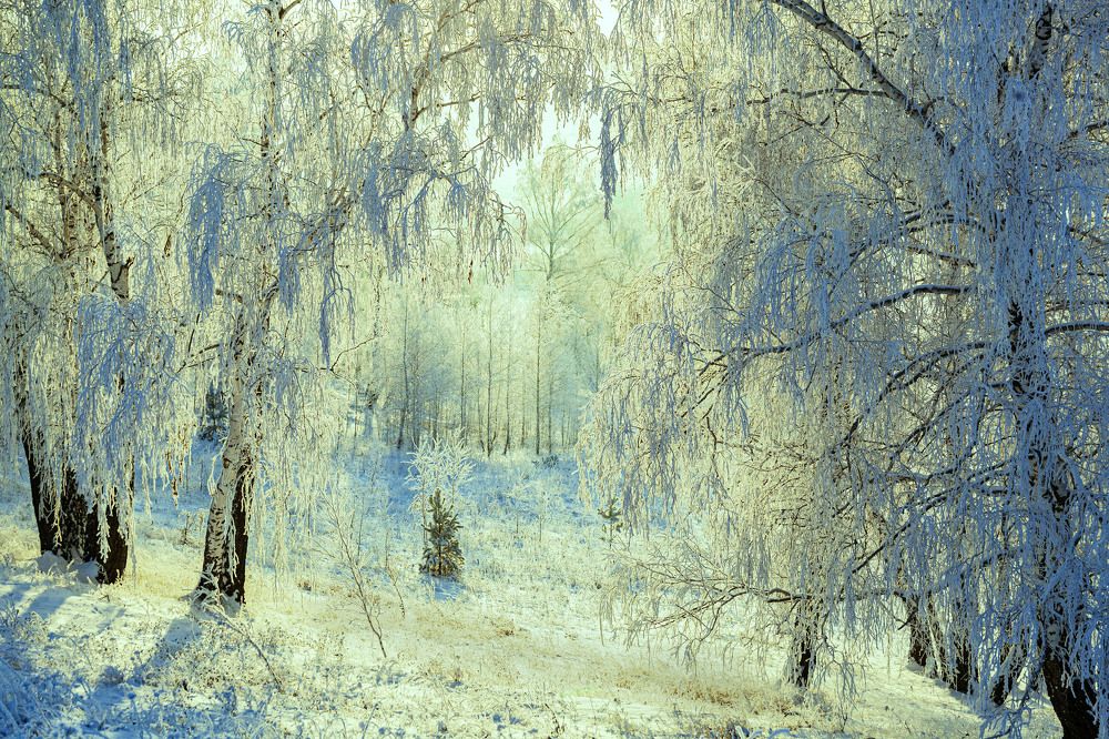 Фотография автора Рамиль Фаттахов