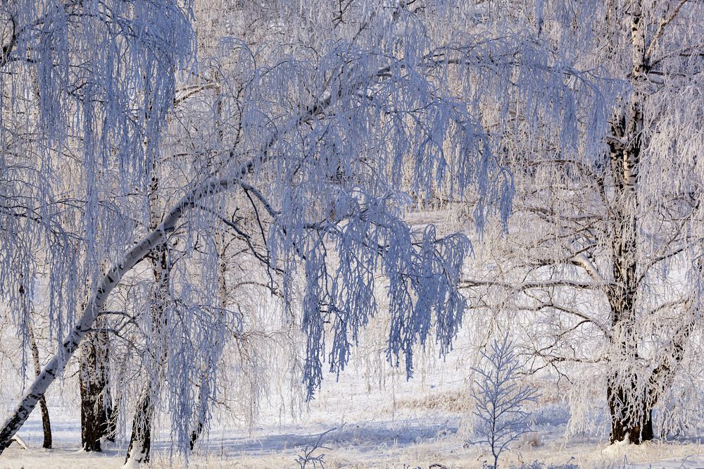 Фотография автора Рамиль Фаттахов