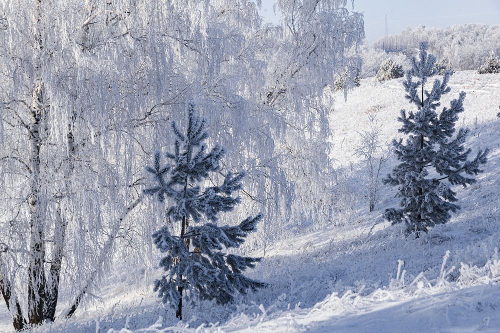 Фотография автора Рамиль Фаттахов