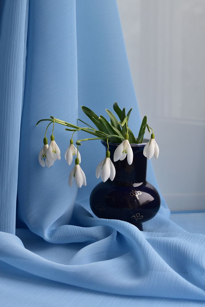 Photograph by Вера Звягинцева