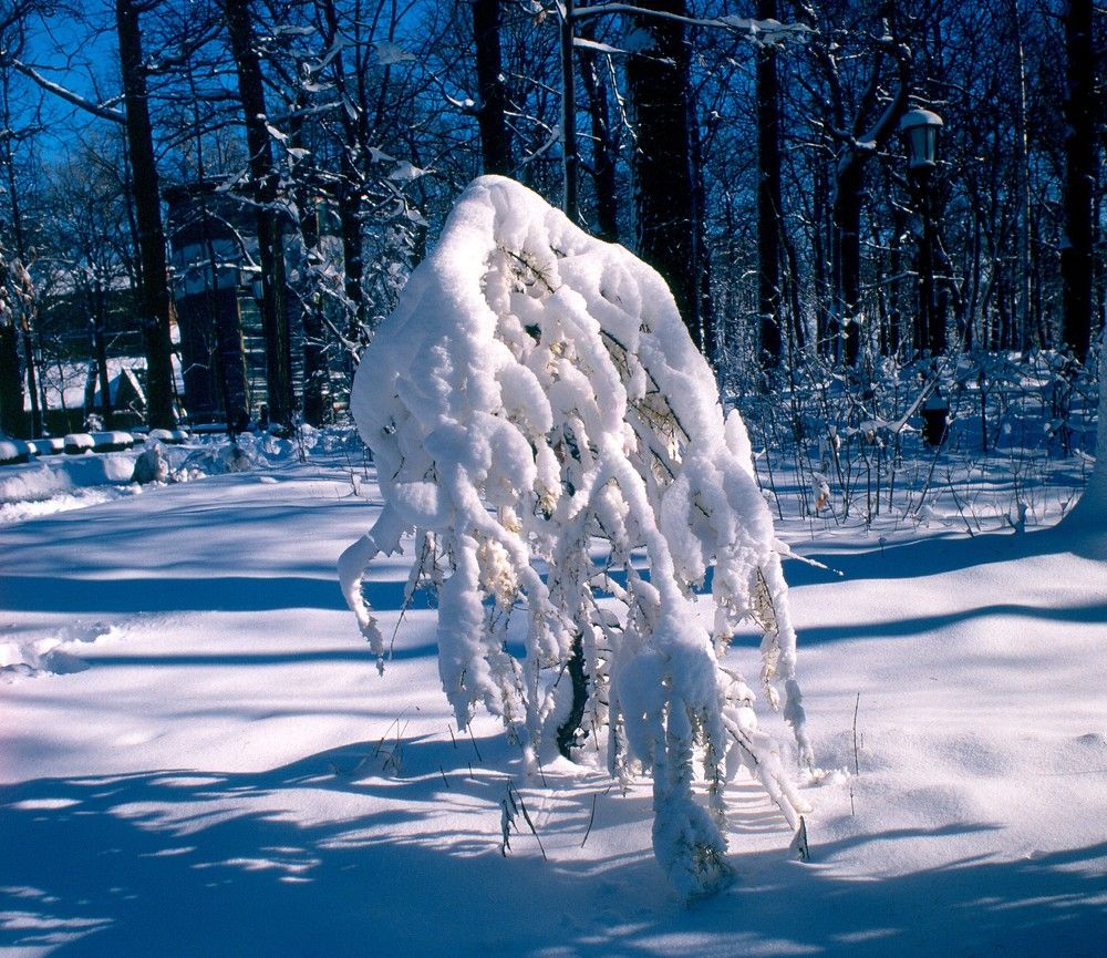 Photograph by Назаров Александр