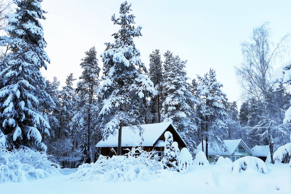 Зимняя сказка