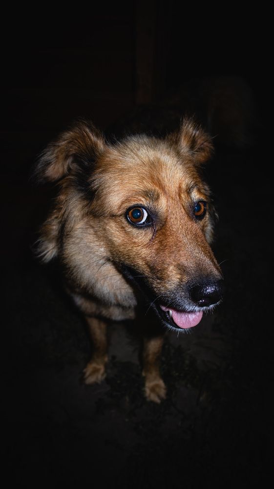 Photograph by Евгений Кузьмин