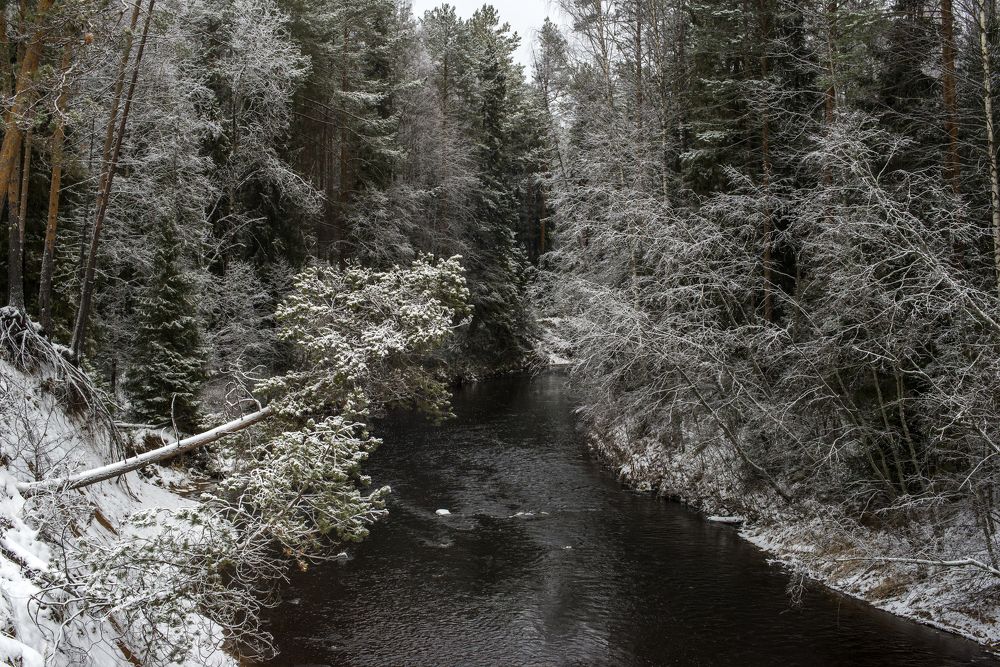 Photograph by Николай Лысцев