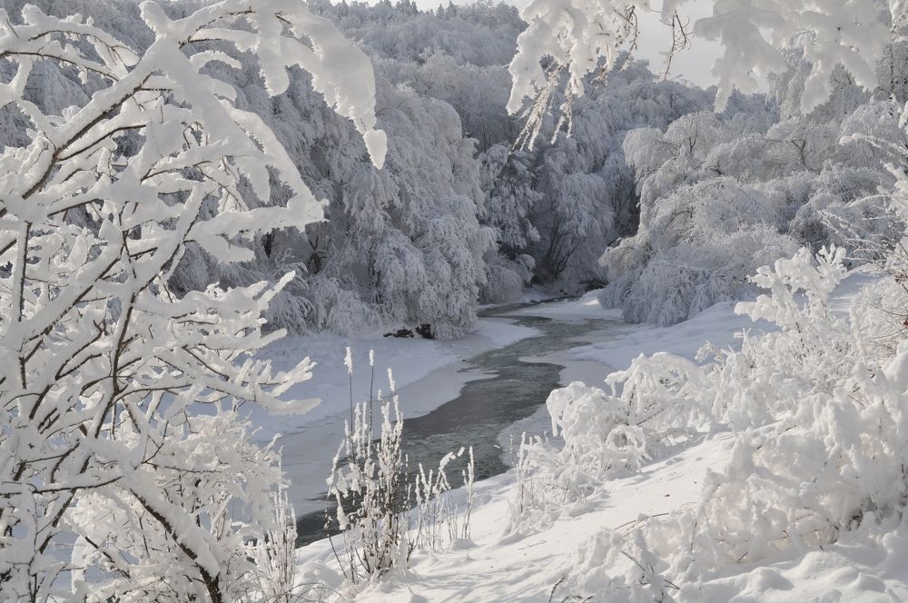 Photograph by Заурбек Шахмурзаев